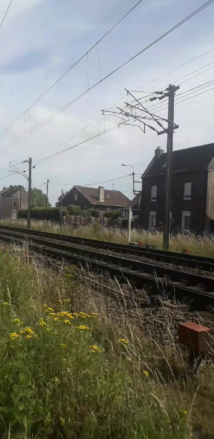 @passion_train_