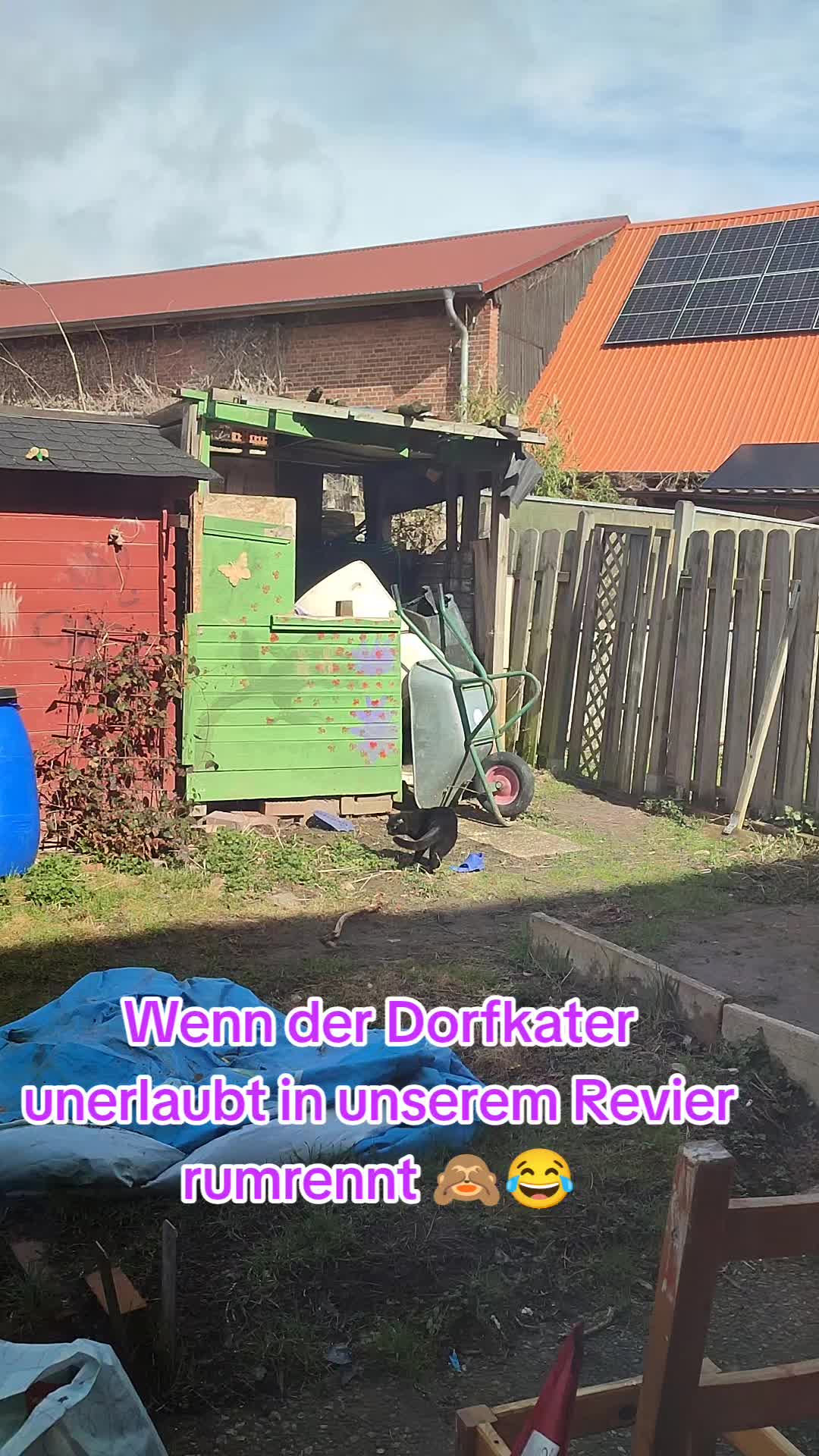 @TOXiC*Love*Survivor*(accebeR)
