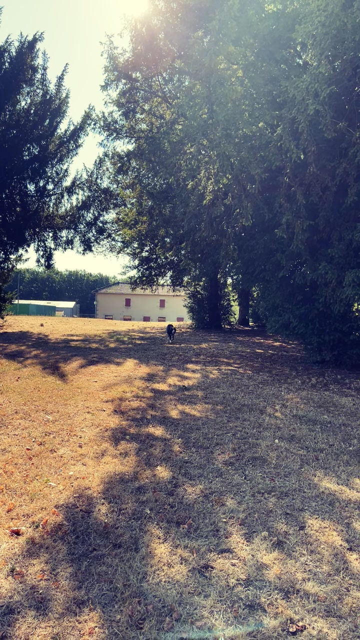 @Boubou.L🏳️&zwj;🌈🇫🇷