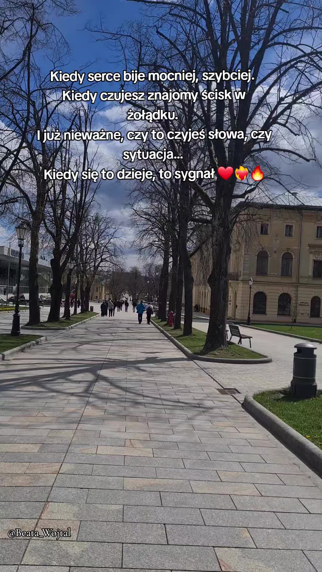@Beata Wojtal