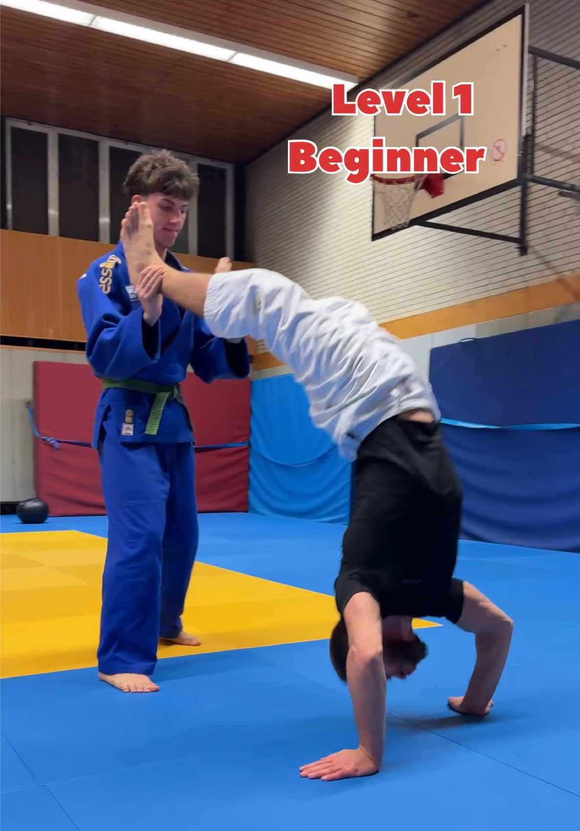 @Cyber-Judoka
