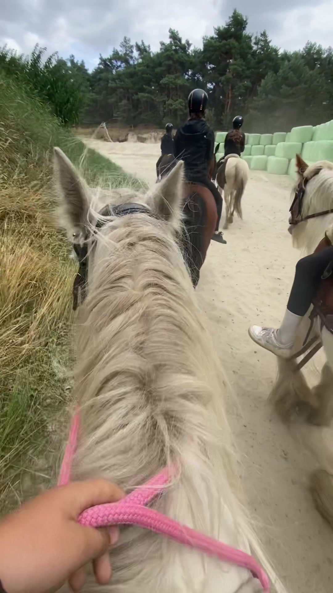 @Amy 🫶🏻🐴