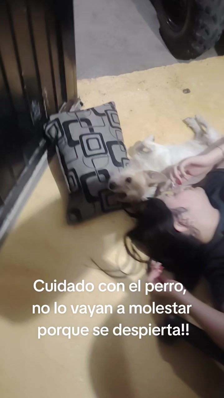 @Sara Vazquez