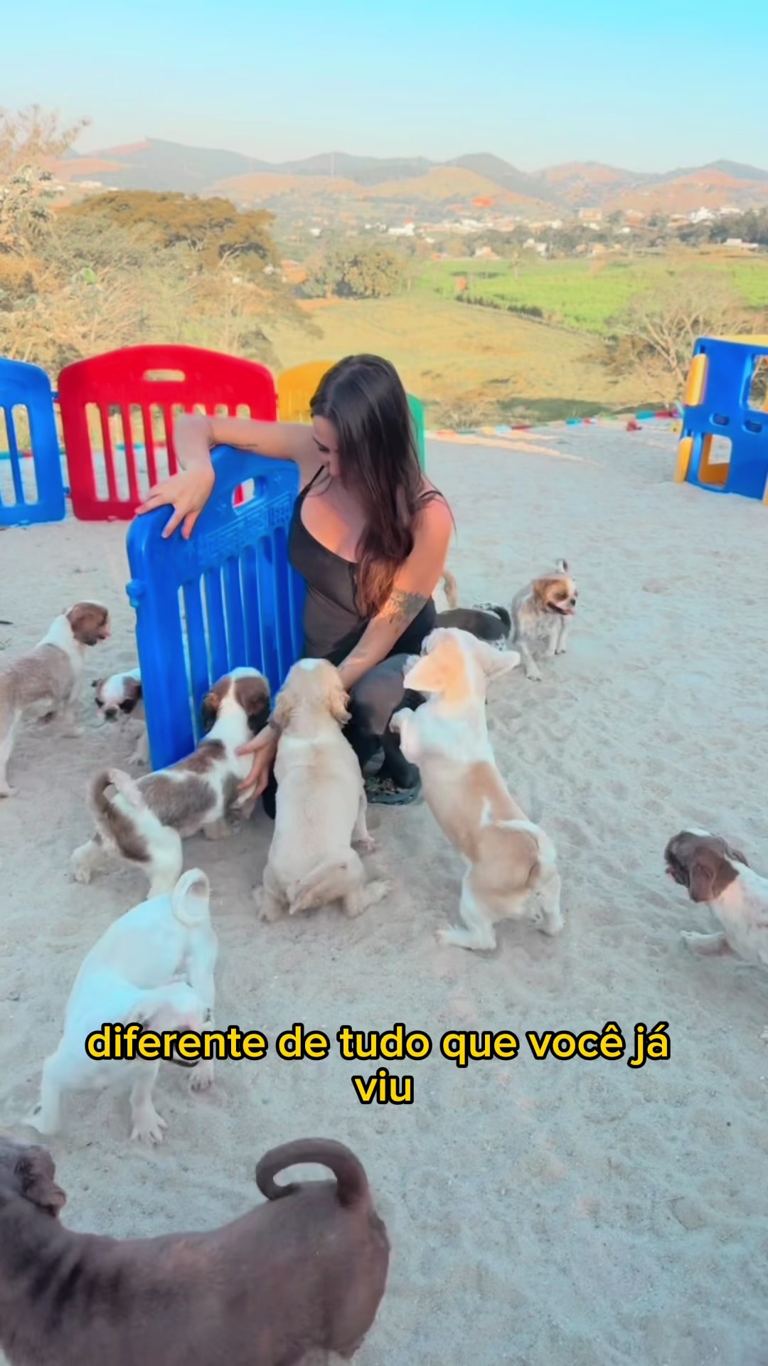 @Casa dos Ursinhos