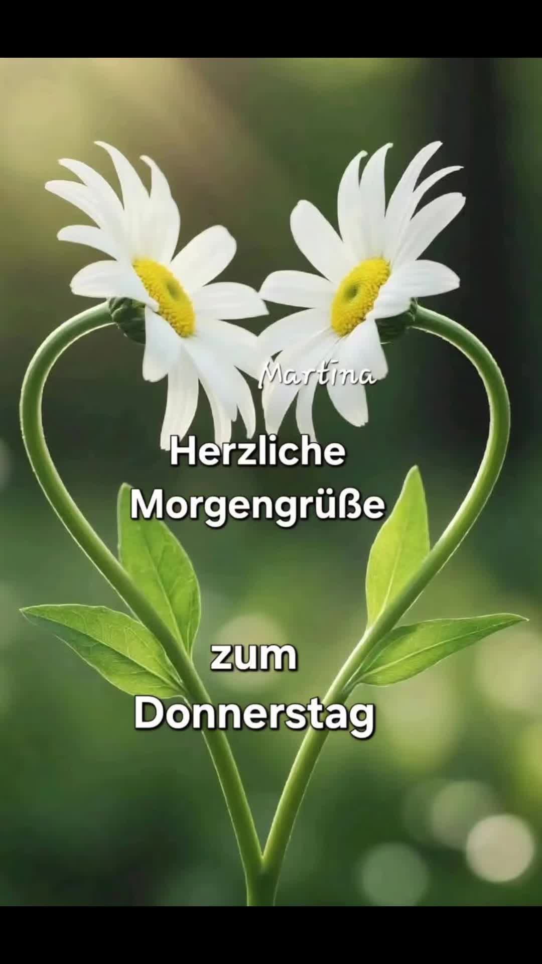 @dagmarschoondy