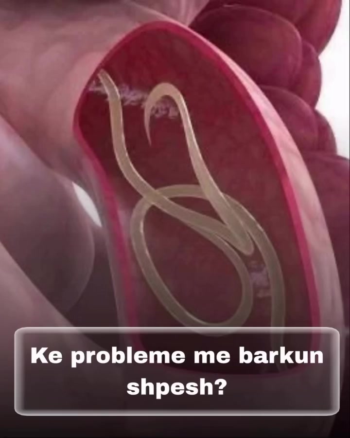 @Neyda Bio