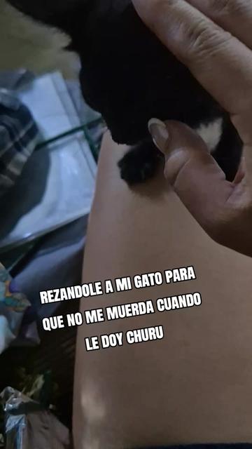 @LUPITA MARTINEZ 😻