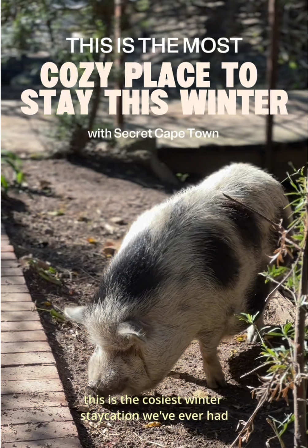 @secretcapetown