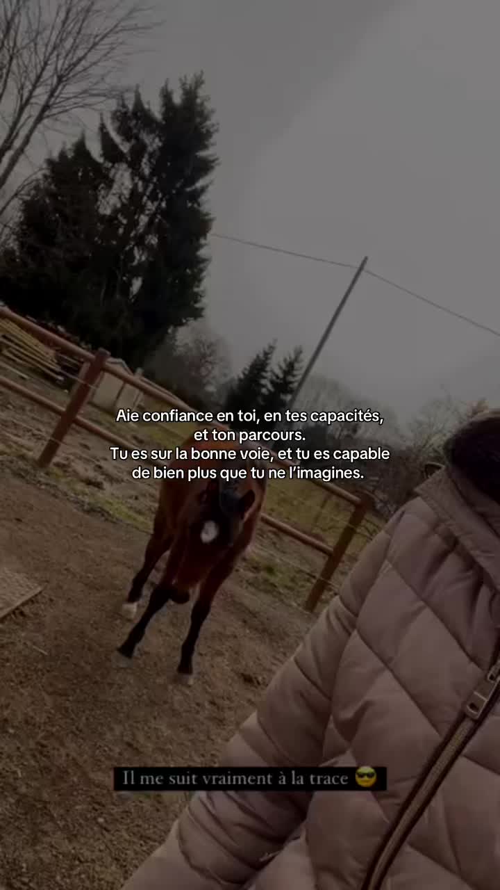 @shoot_equestres
