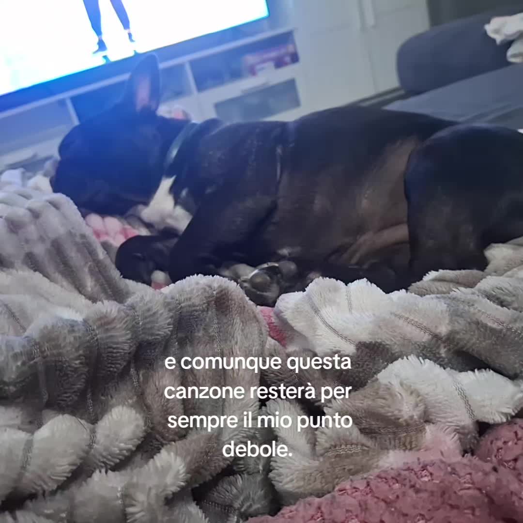 @giulyy.tronky⭐️