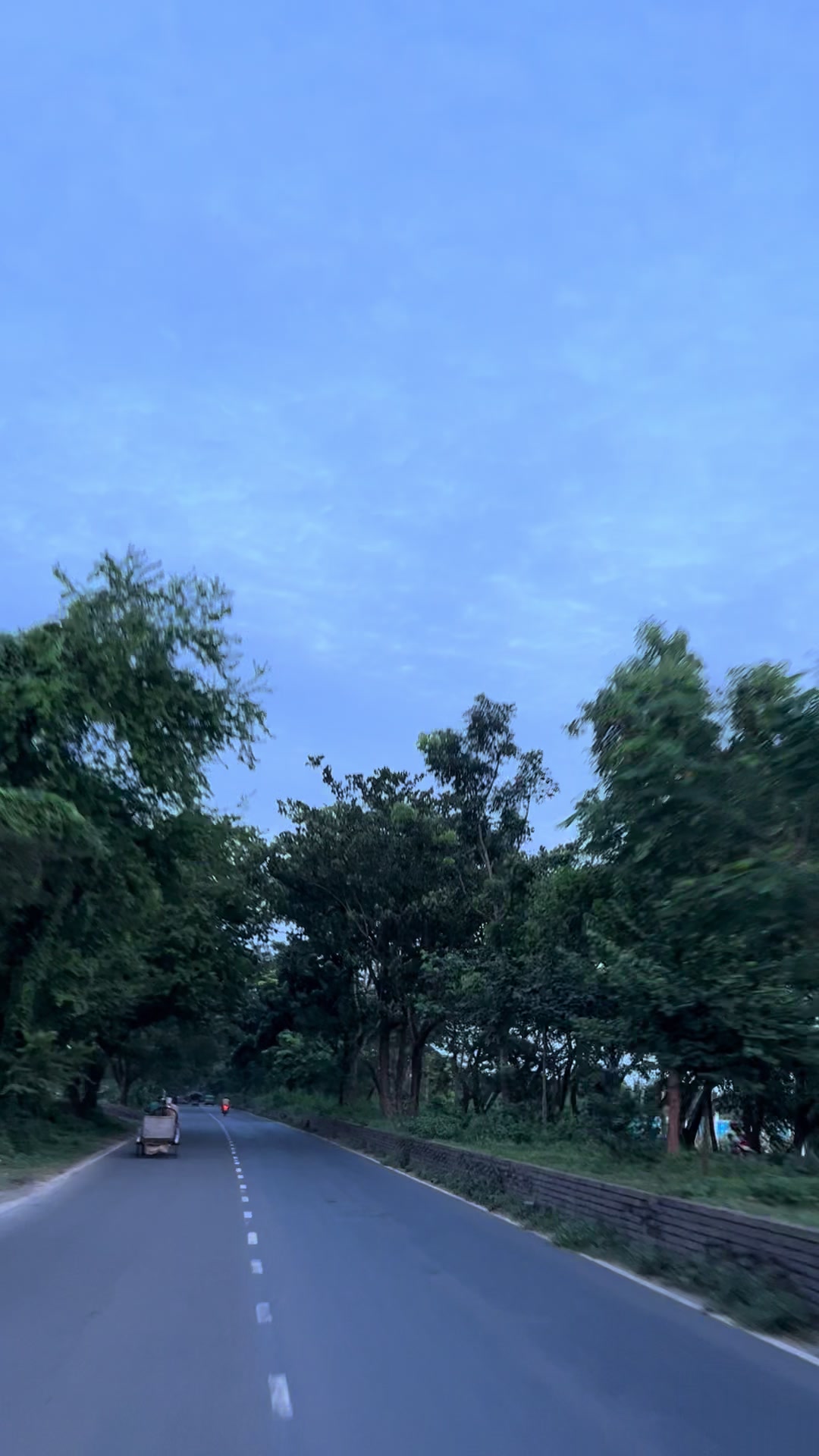 @মোহনা 🦋
