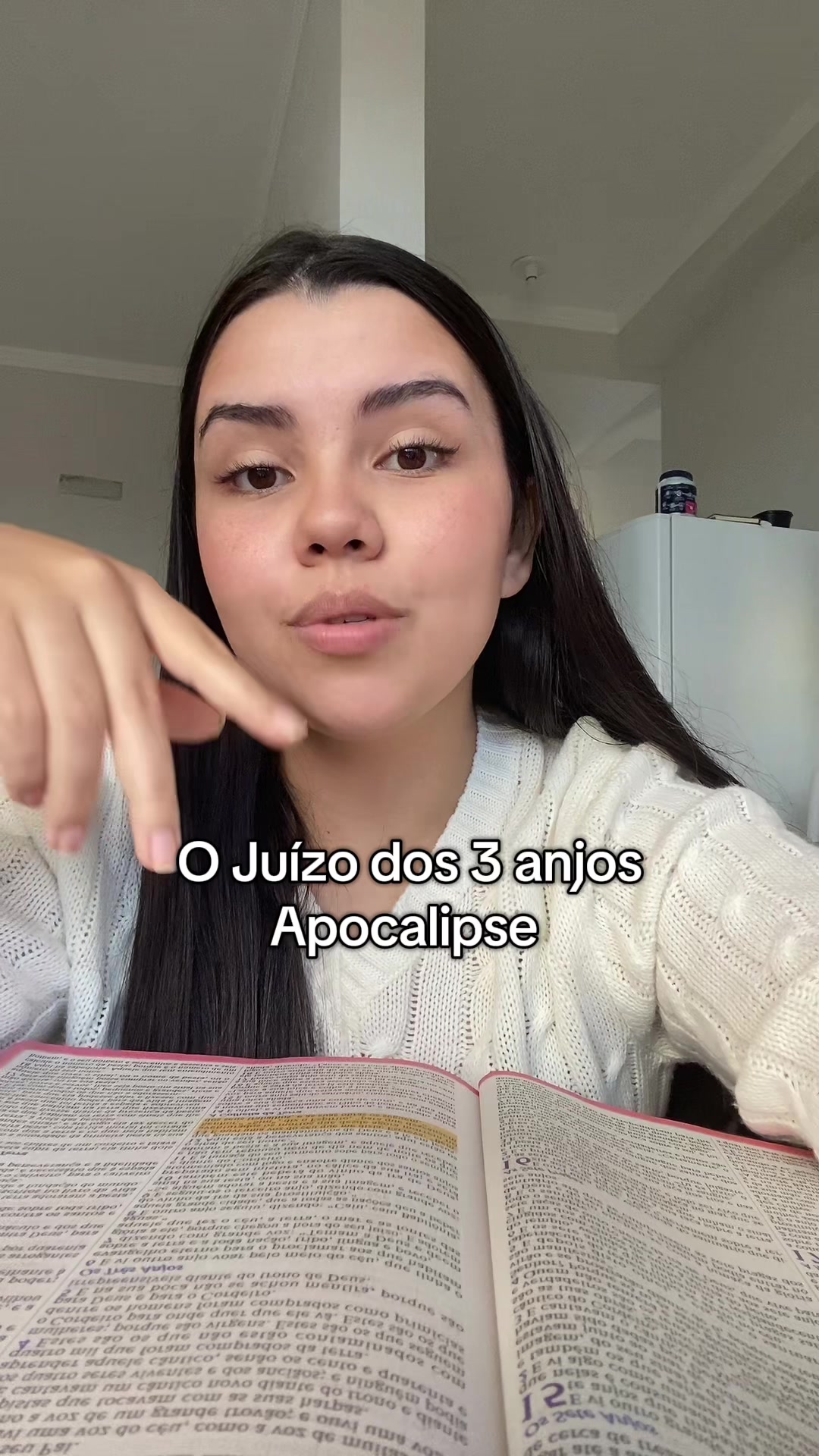 @taina_schmidt_