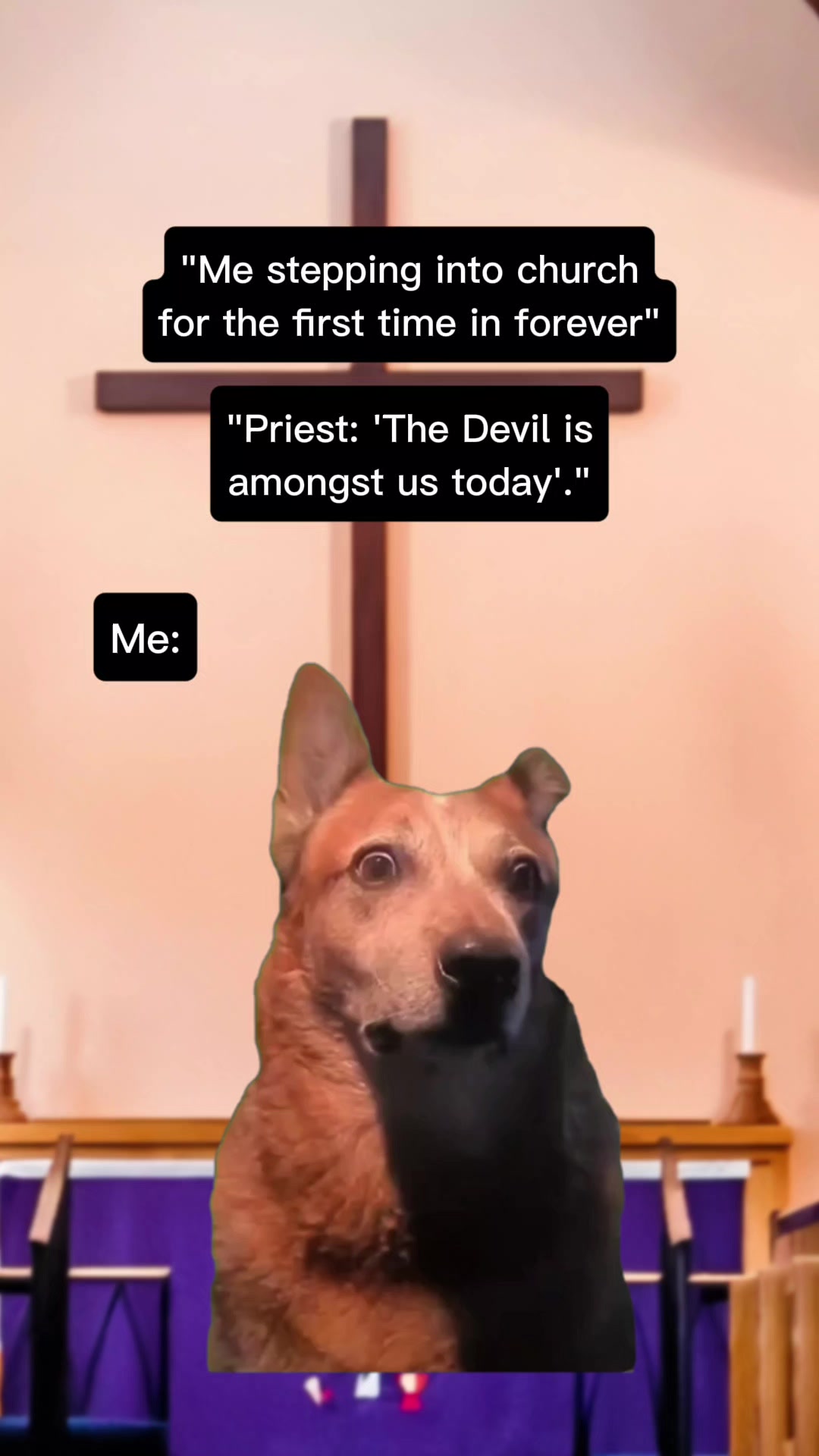 @GiggleSHIT