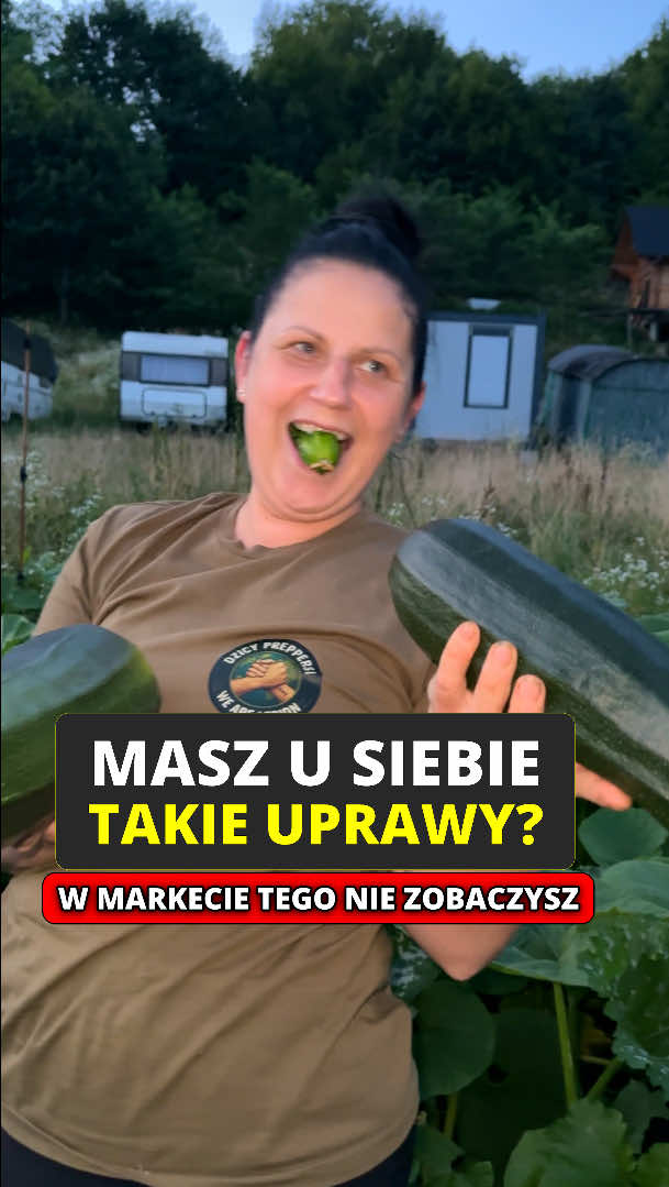 @MrPreppers