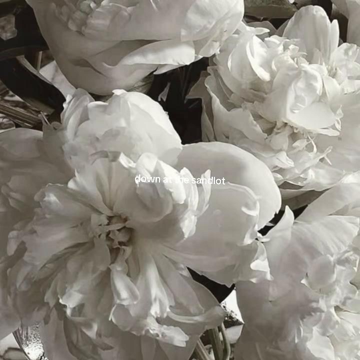 @tay ⋆❀˖&deg;