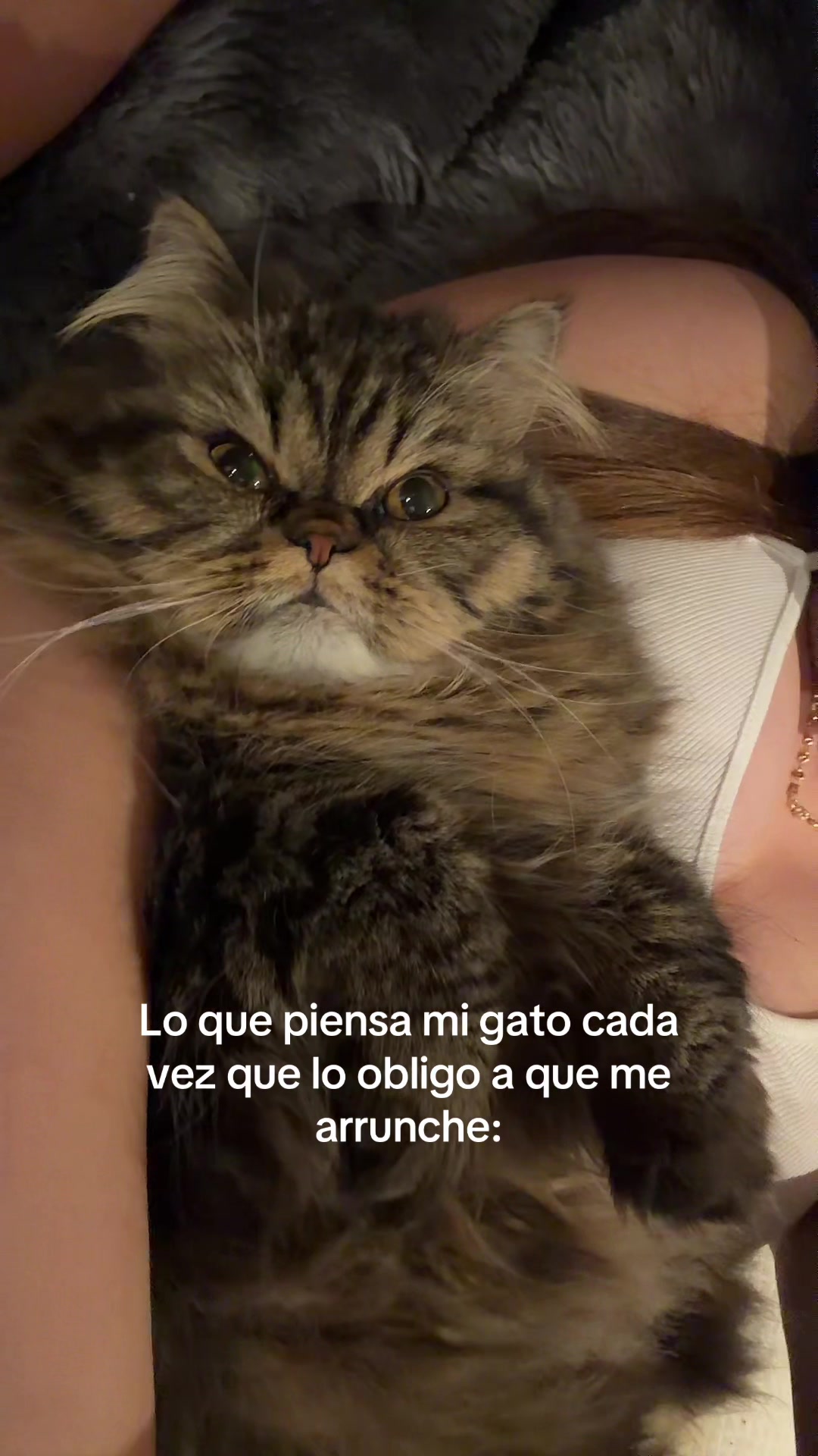 @Brenda García