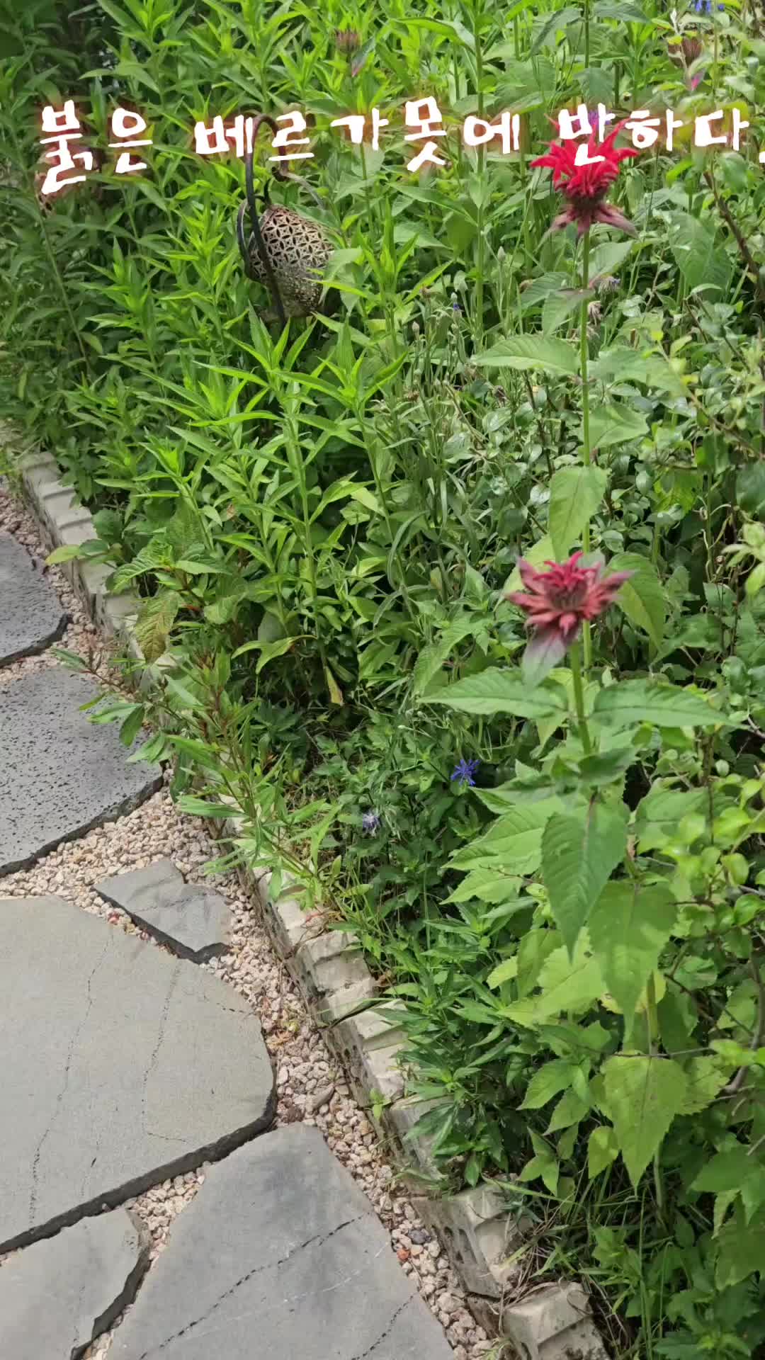 @운유농원
