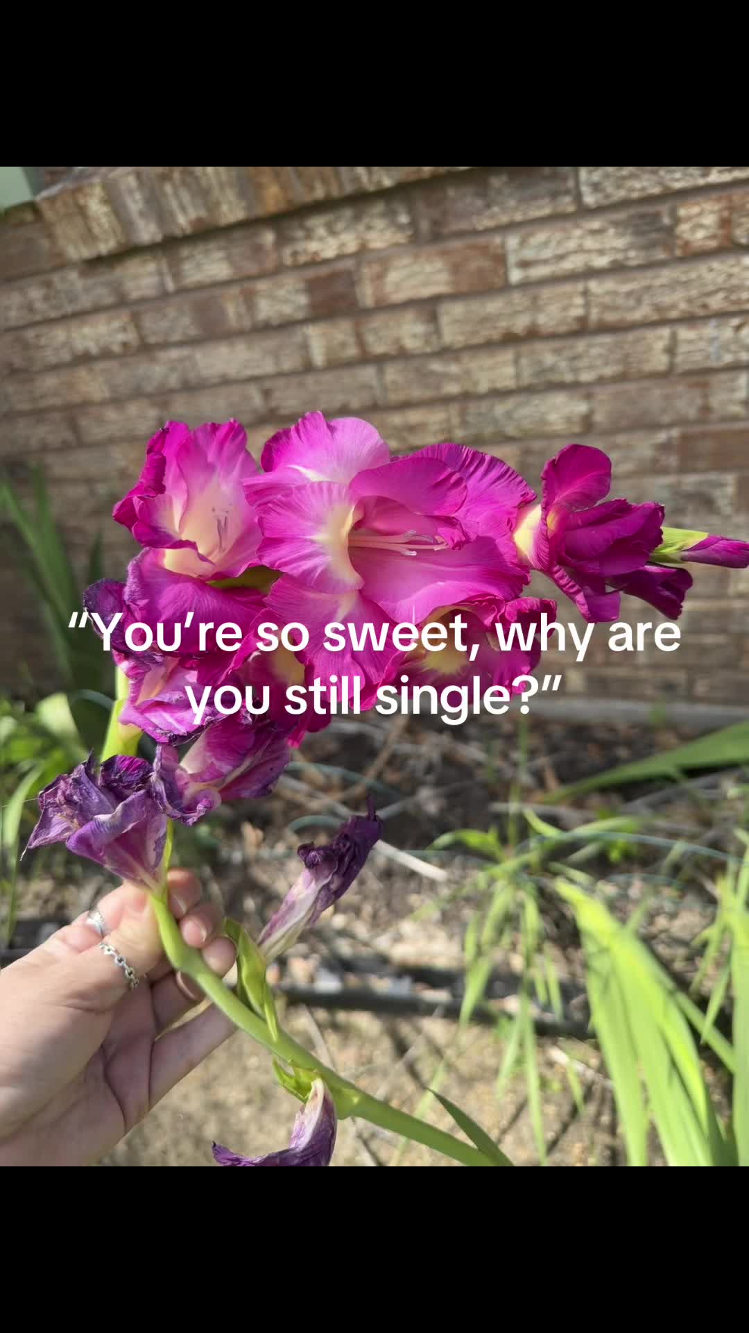 @𝓛𝓲𝓵 𝓑𝓲𝓽🌻
