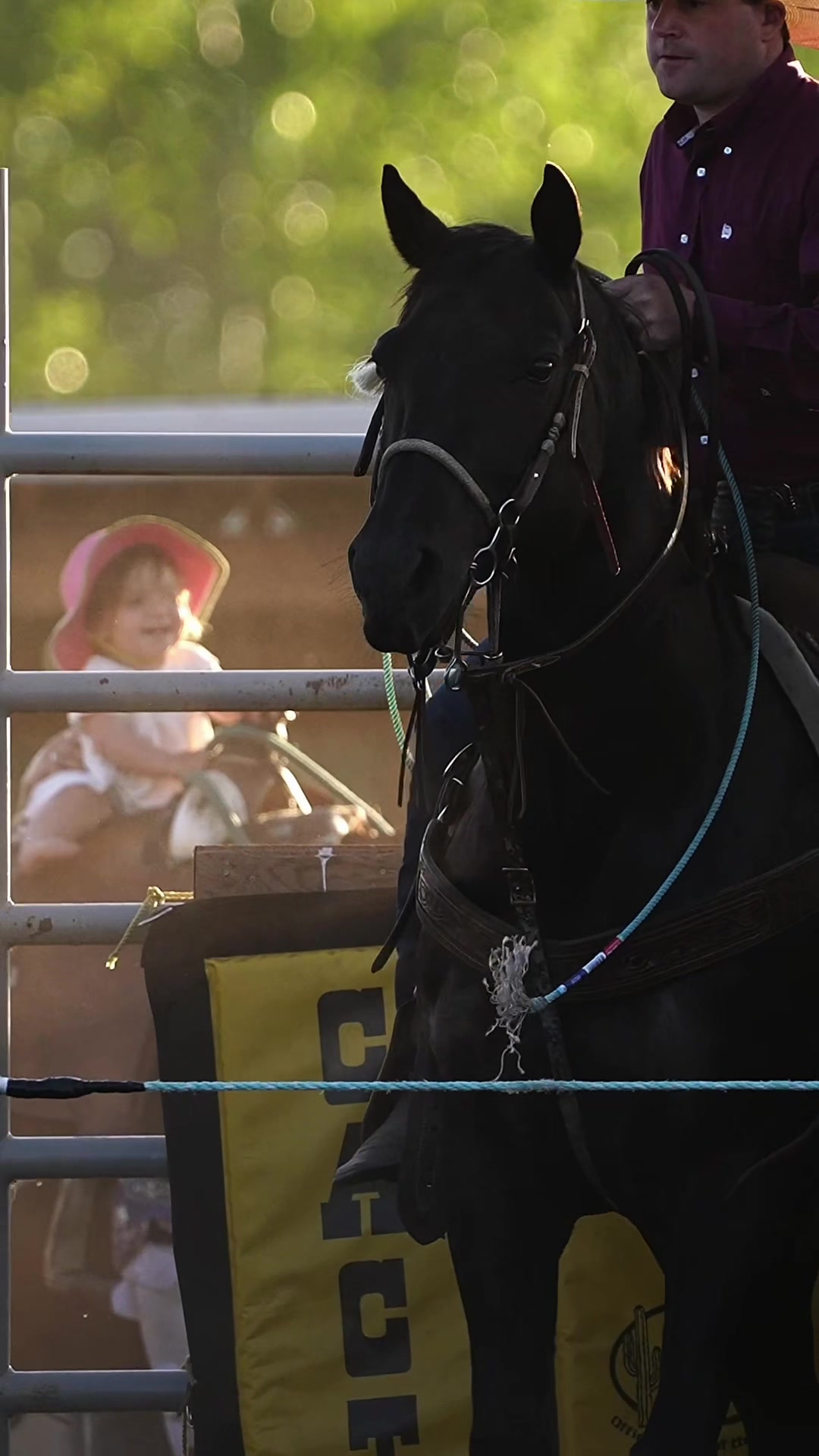 @Hanginghorses