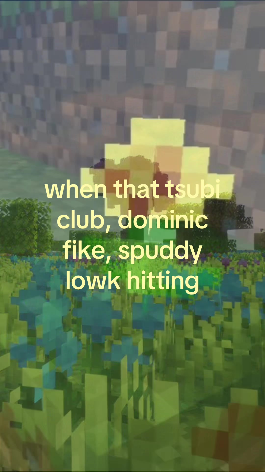 @#1 spudster