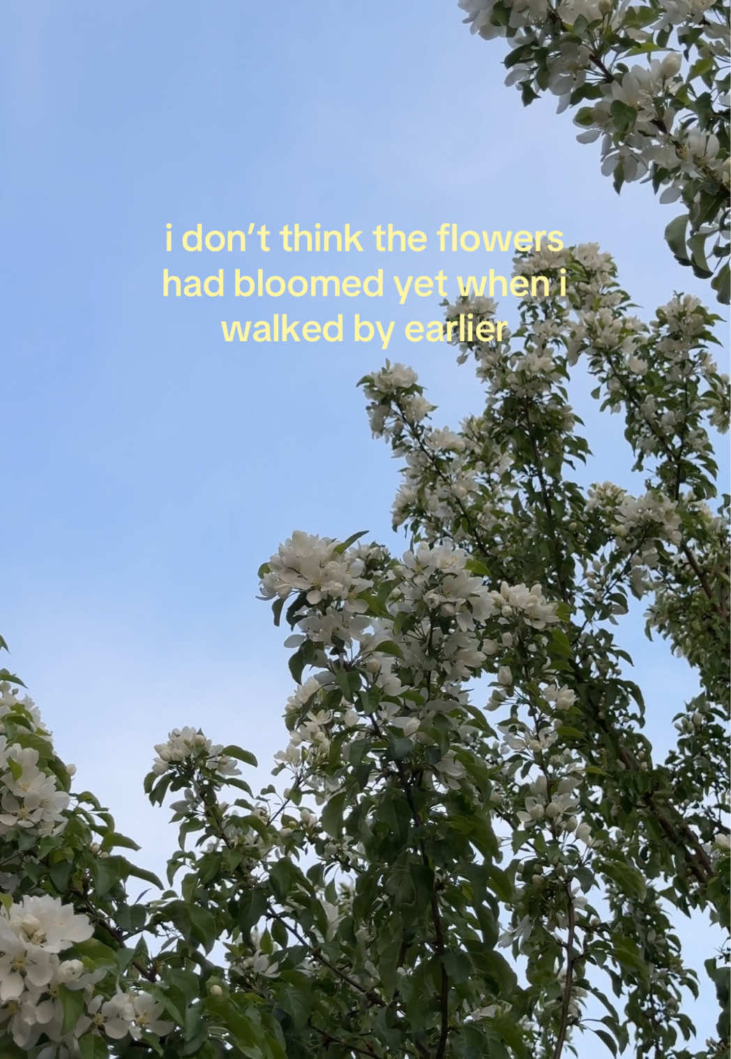 @janice | yyc foodie