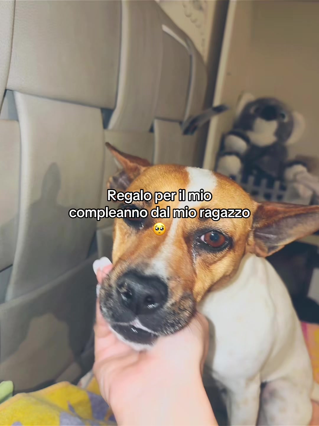 @stellinaturco