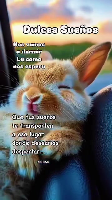 @Palomalucia_24 Cuenta Oficial