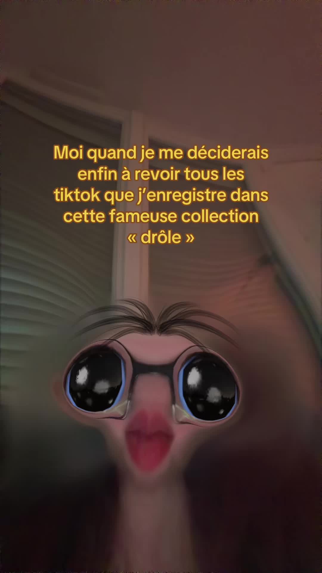 @๐๐ถë๐๐๐โฐ