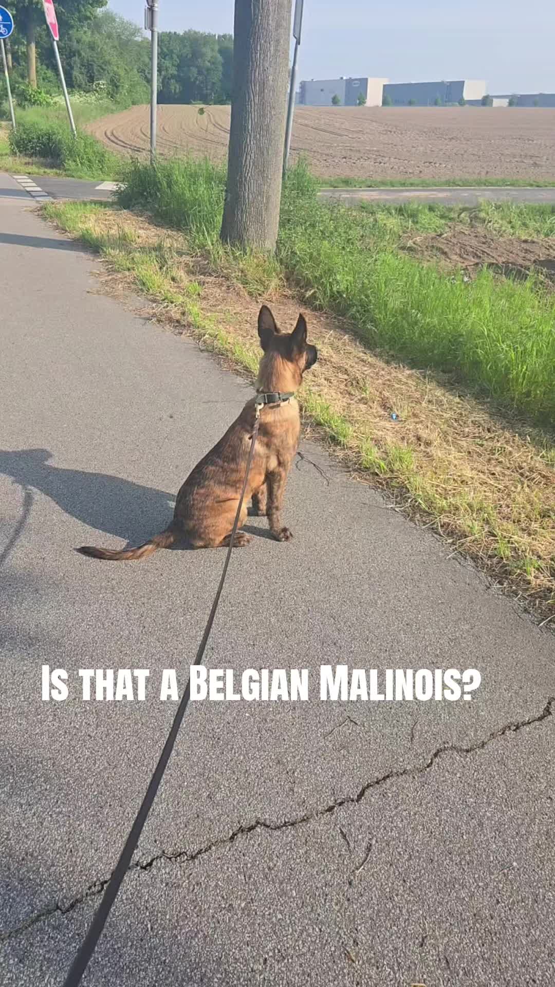 @Callsign: Trouble