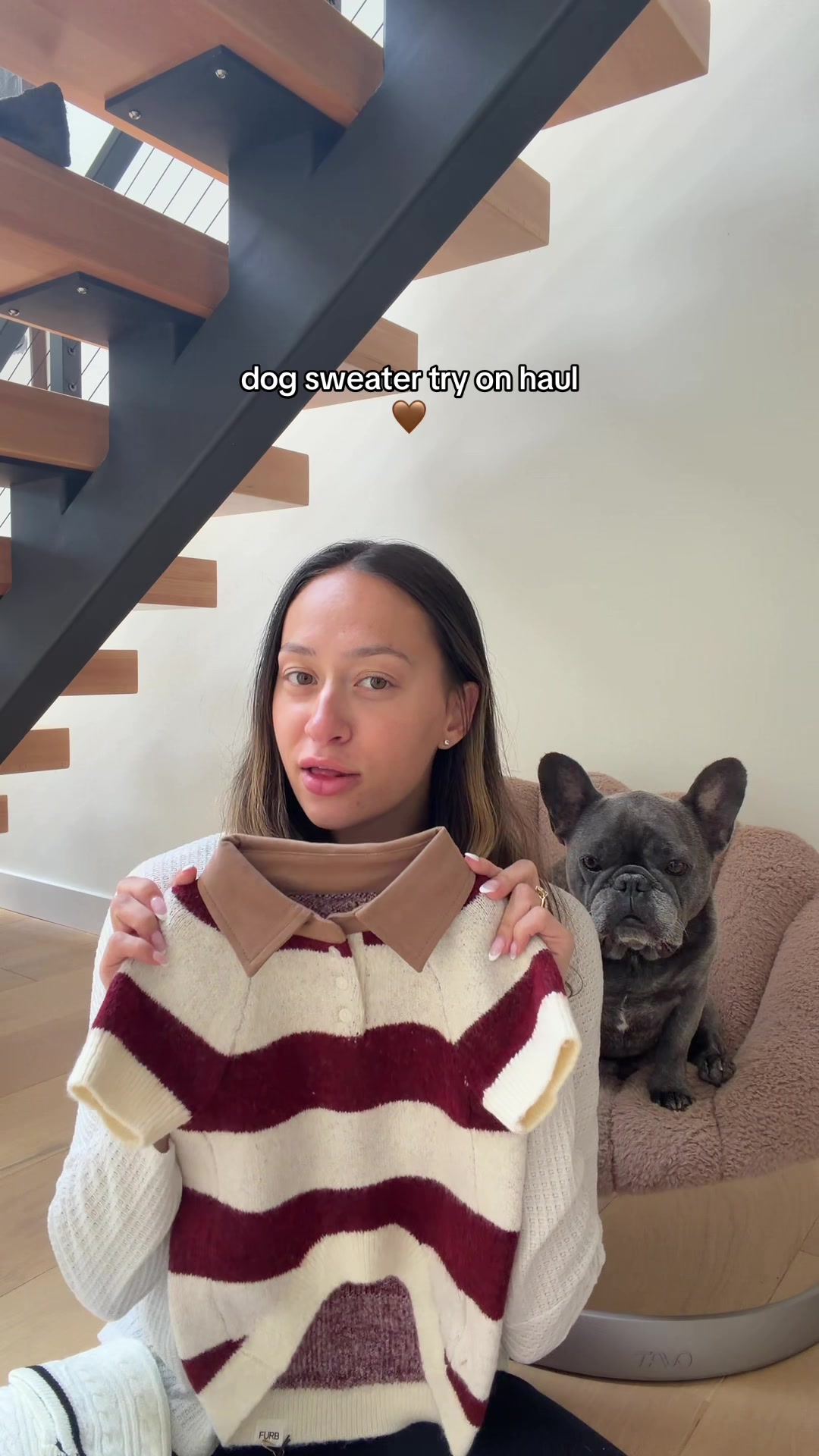 @Winston & Charlie 🐾