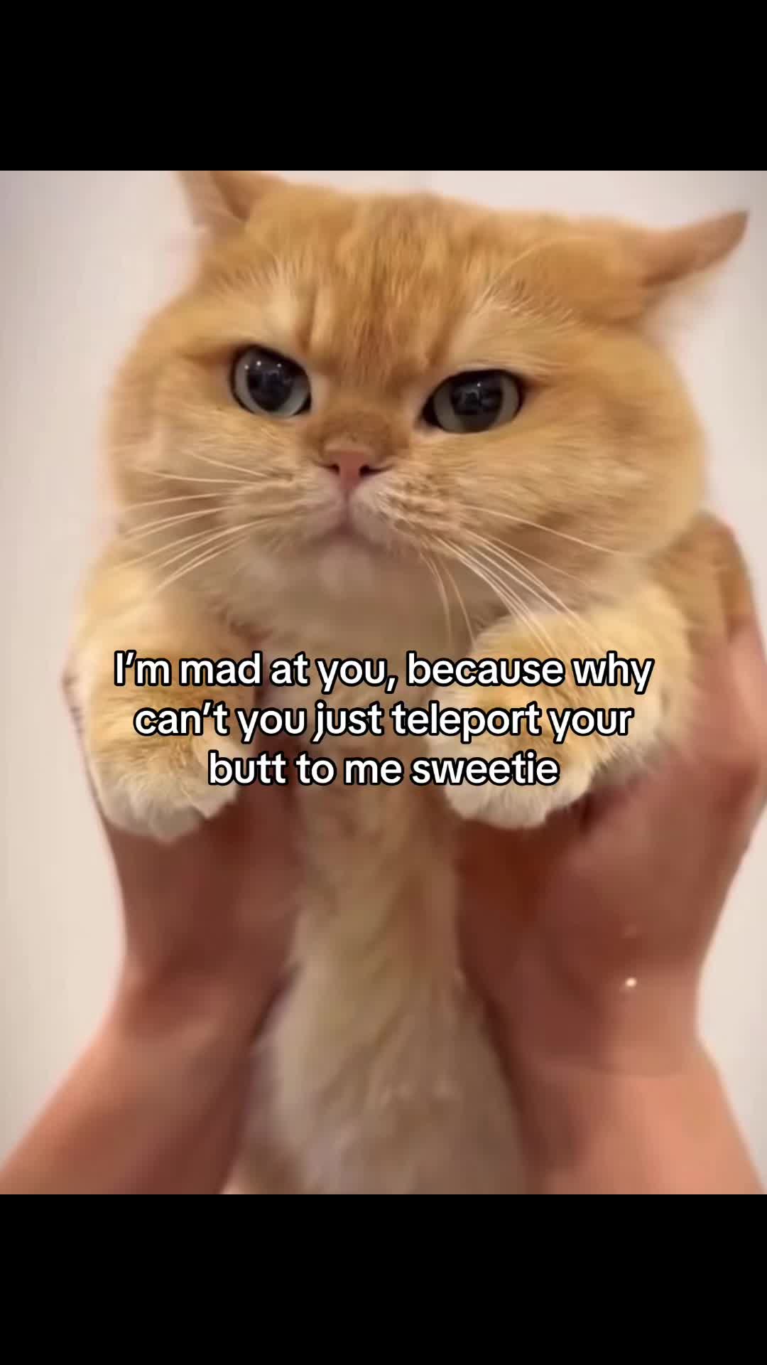 @Molly