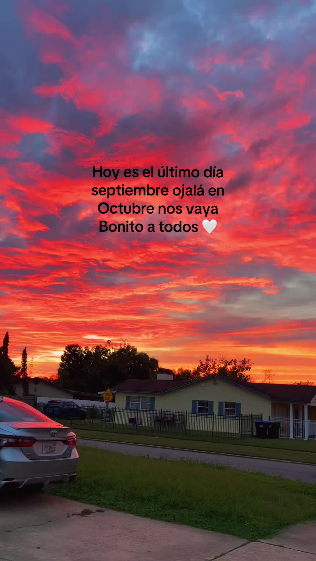 @Marisol