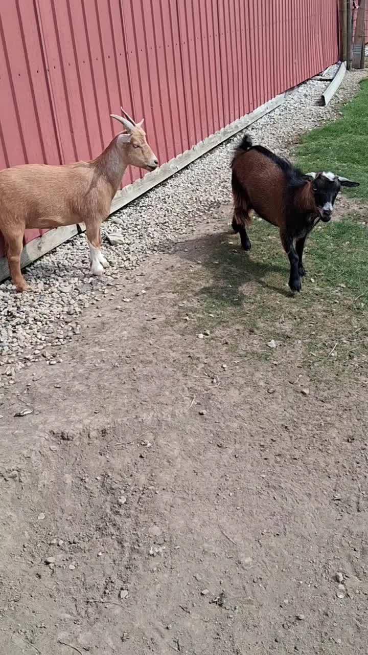 @Taylor | Sah{farm}m