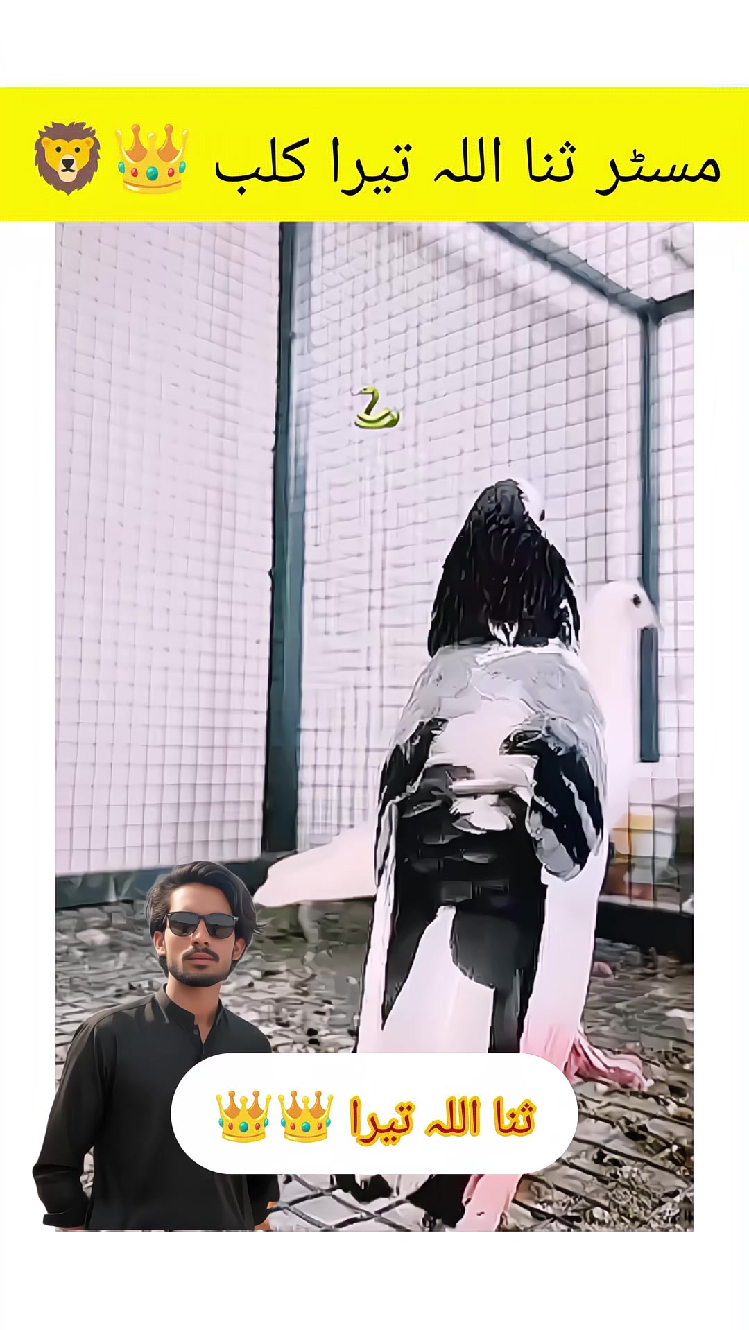 @ᴹʀ Ｓꪋⁿꪋ𝐮ไไꪋ𝚑
