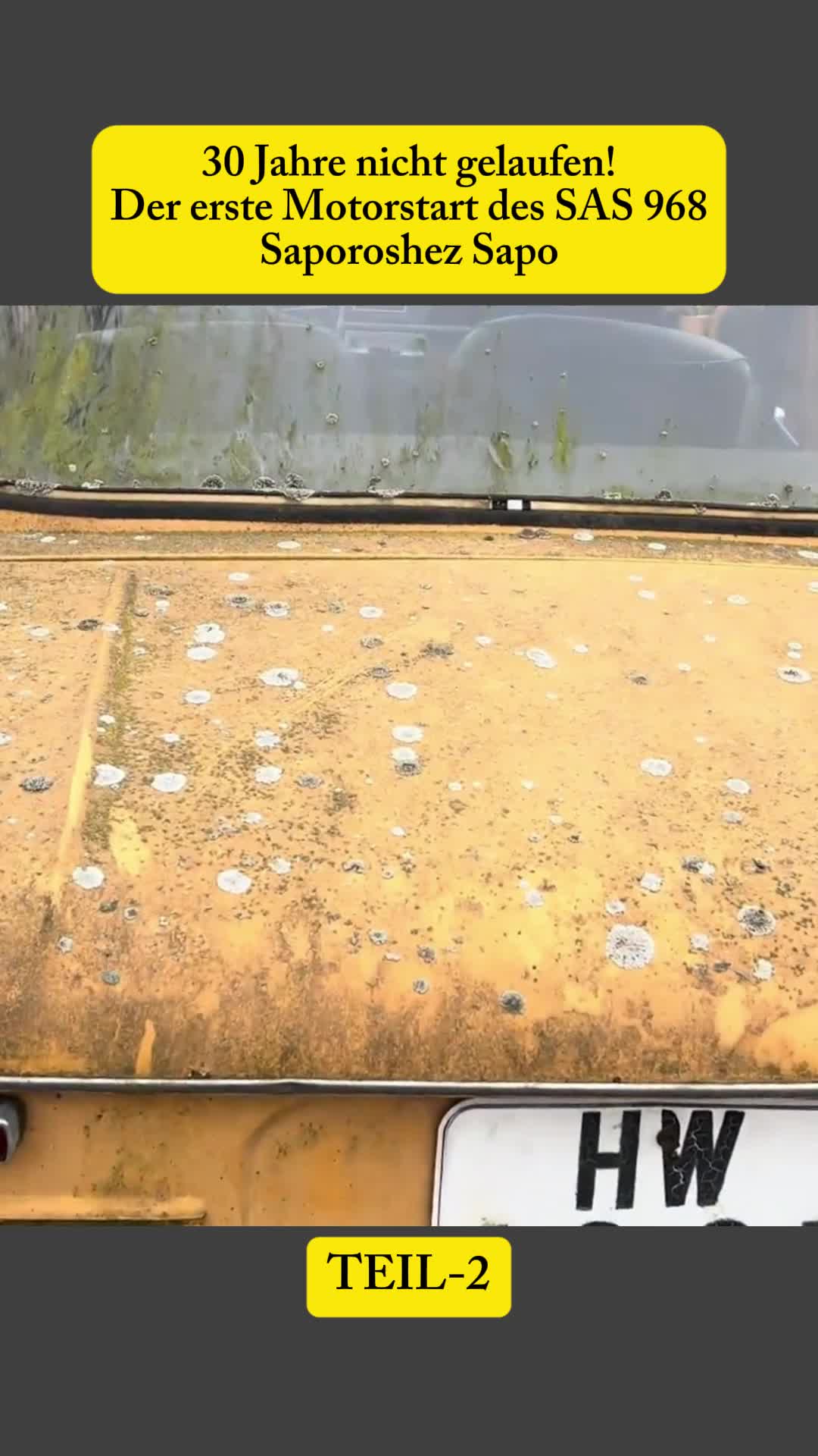 @Hallo Auto🌺