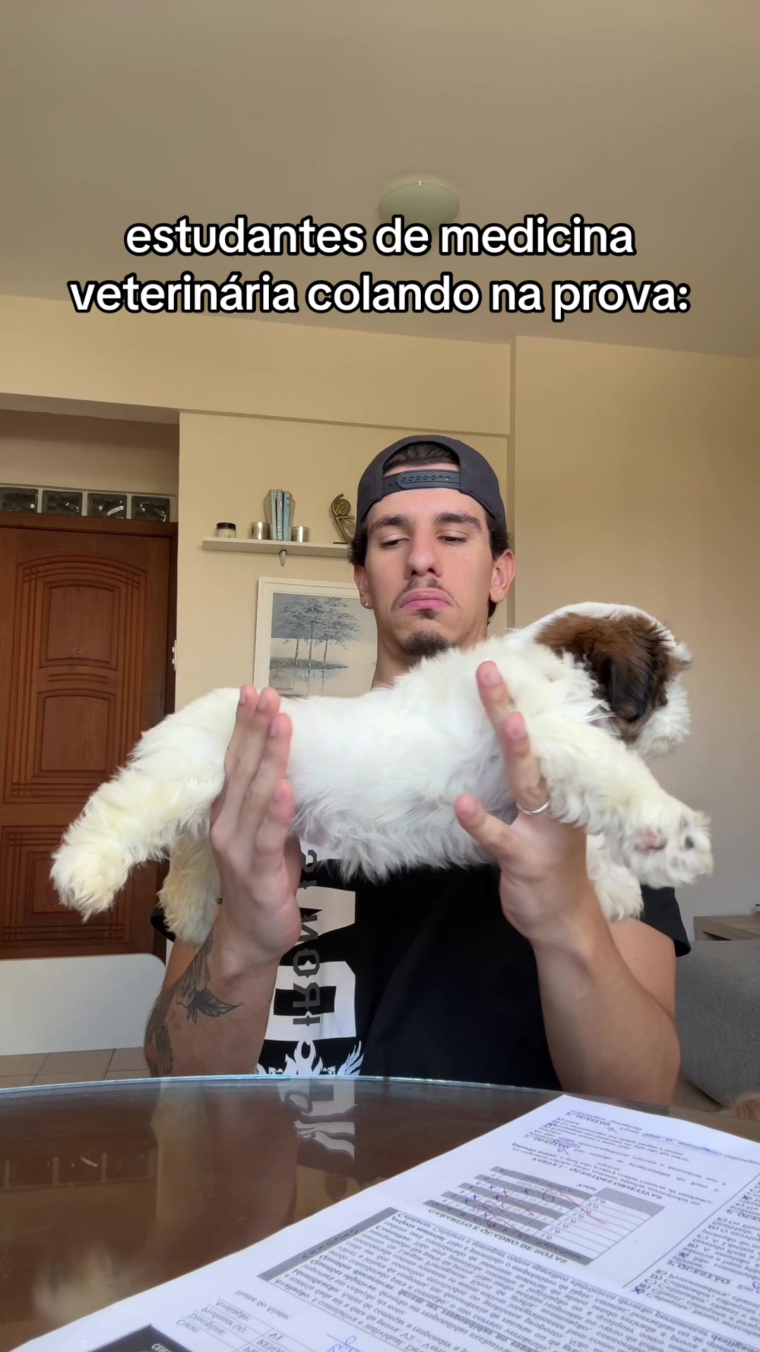 @Thiago Luna