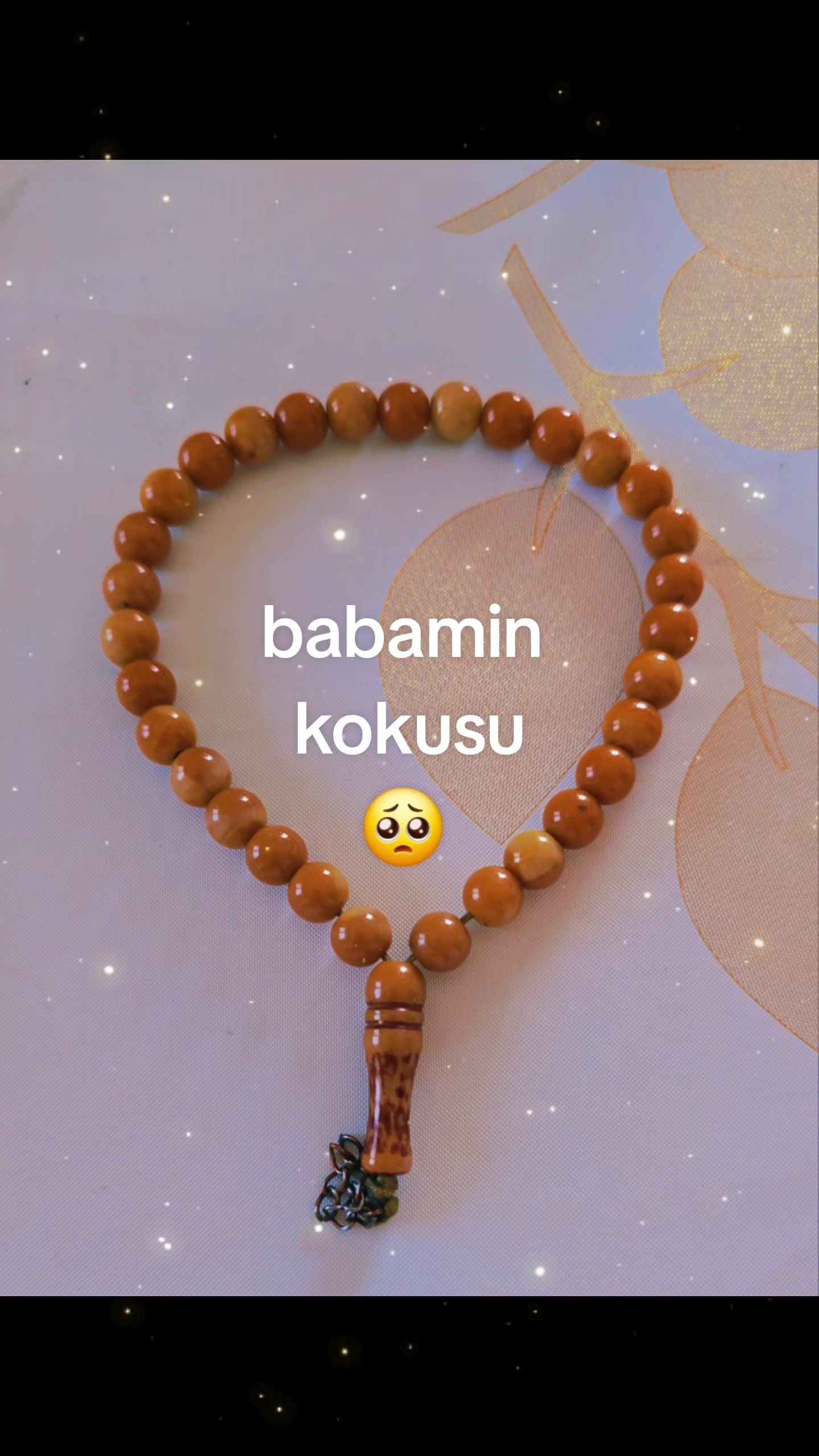 @güvercin🕊