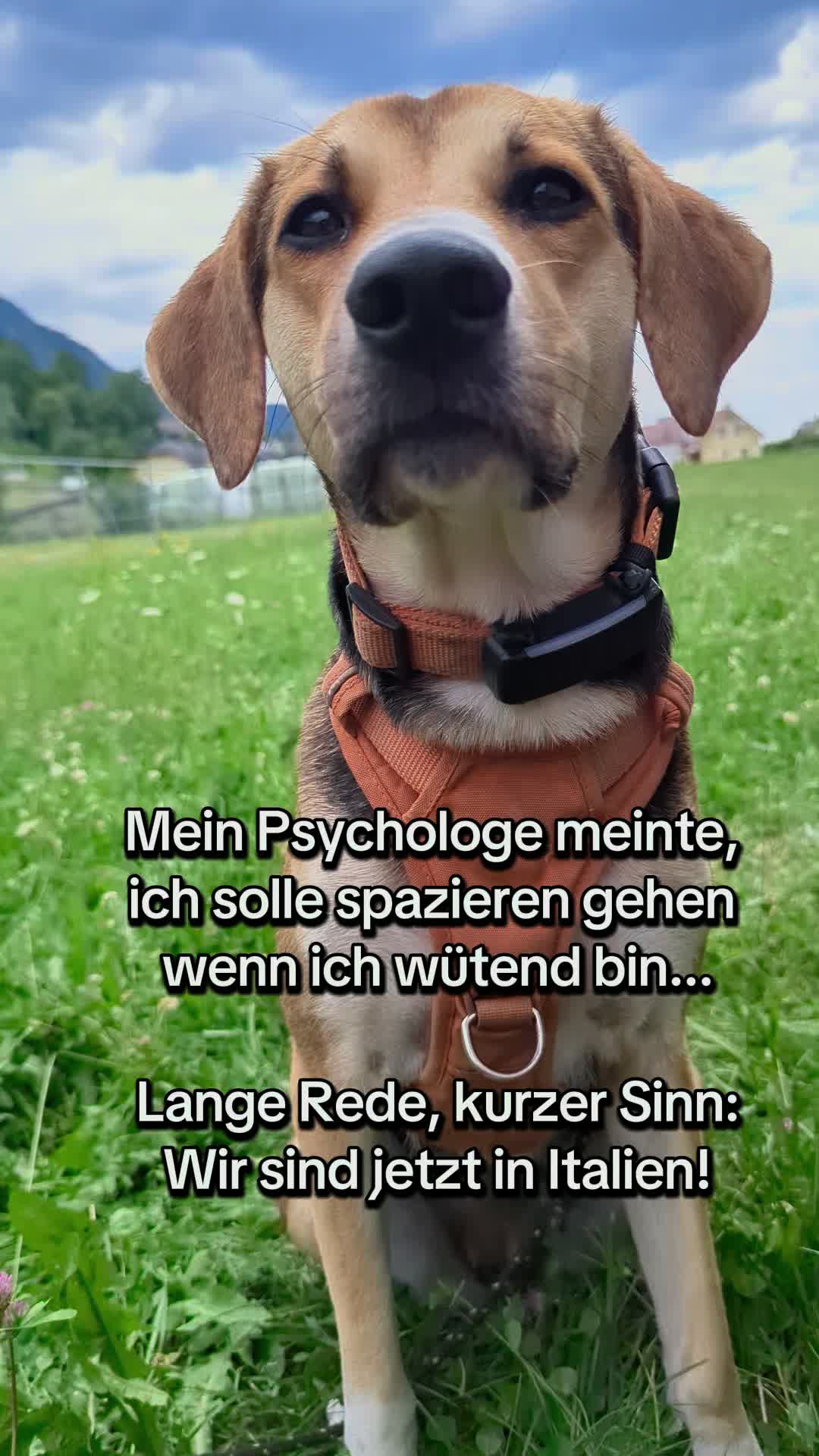 @ꪑⅈꪶꪖ ꪑꪮꪀᥴꫝꫝⅈᥴꫝⅈ