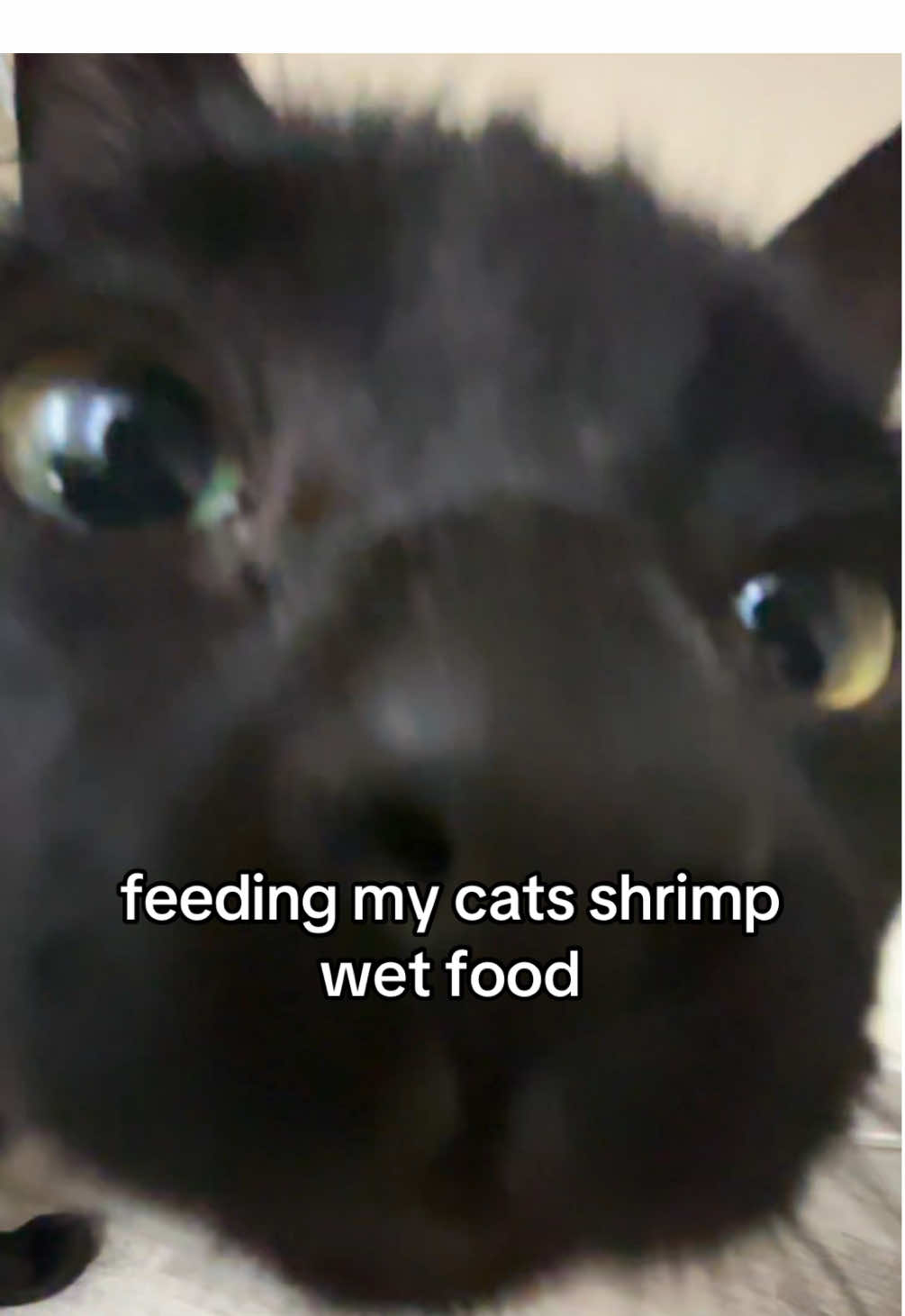 @rikey
