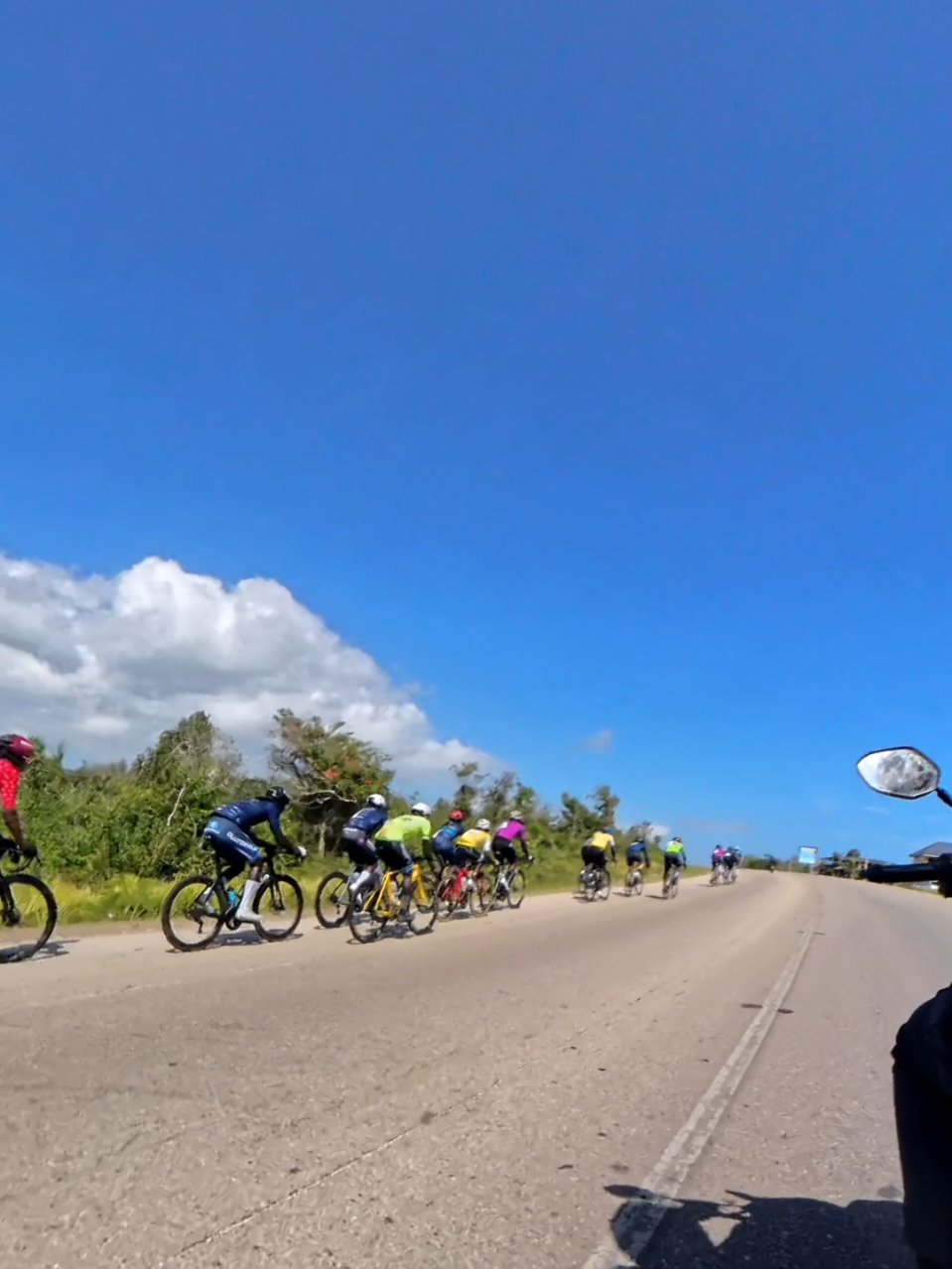 @pedalpulse