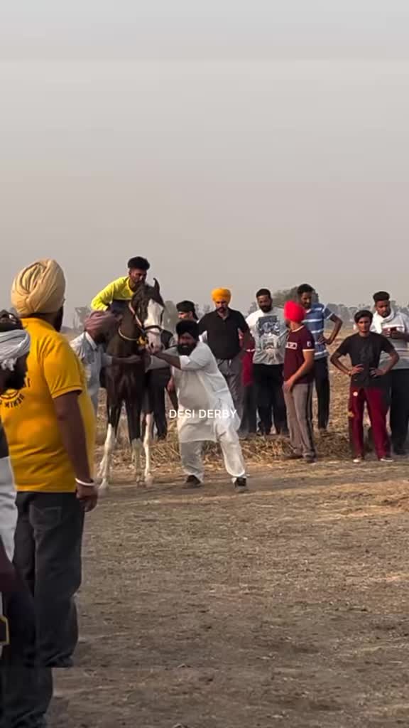 @🏇 MARWARI HORSE RACING 🏇