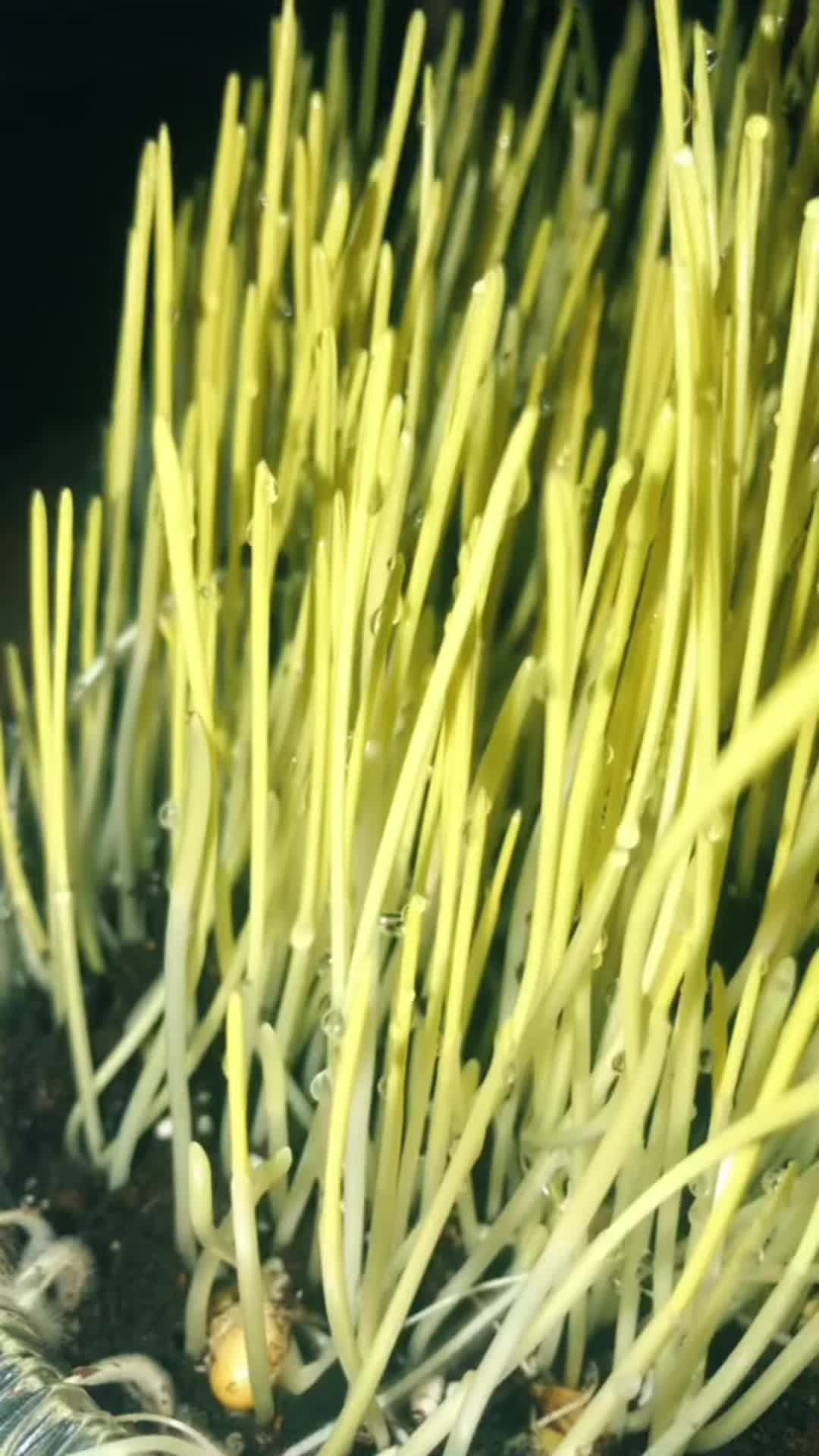 @पारू खरेल चौहान 🧿🕉️❤️🙏💪🫶