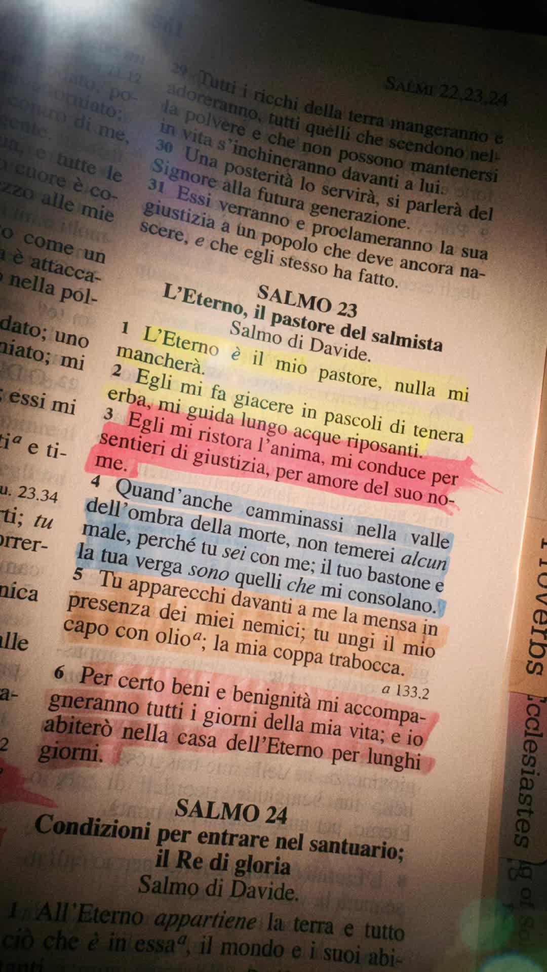 @Titty&SalvatoreLiguori🦁👑🤍