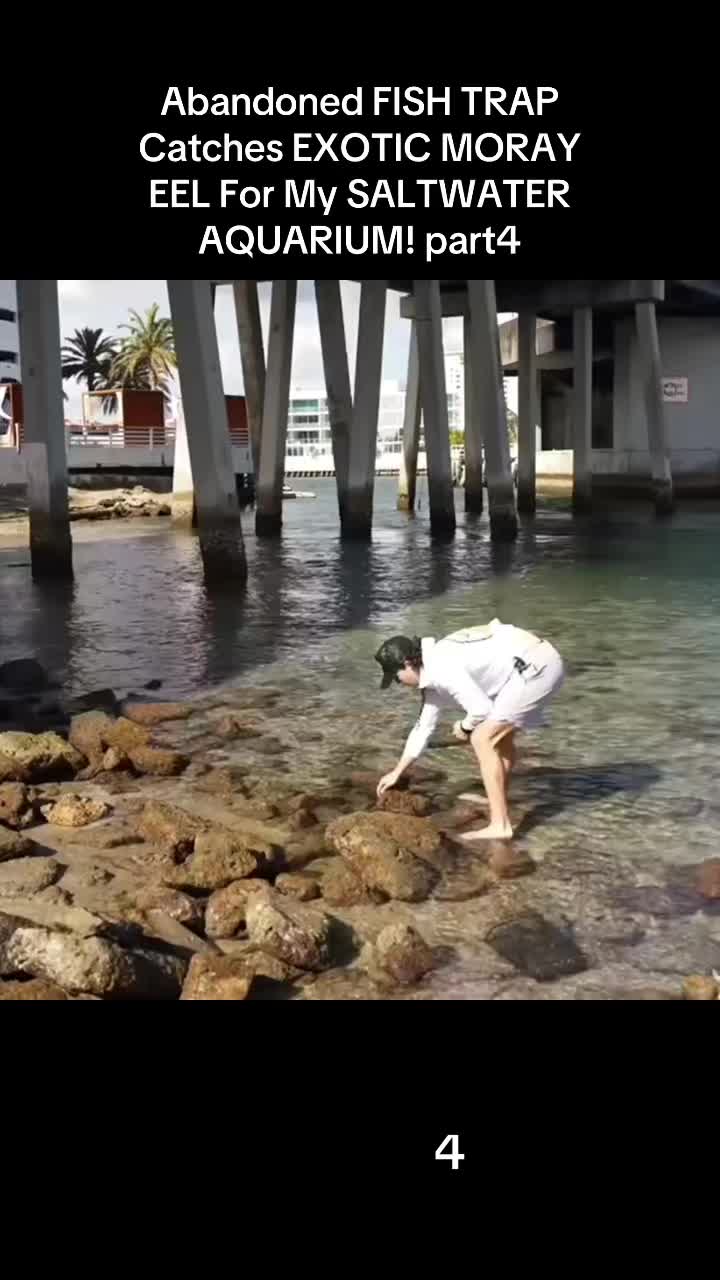 @fish 🐬🐬