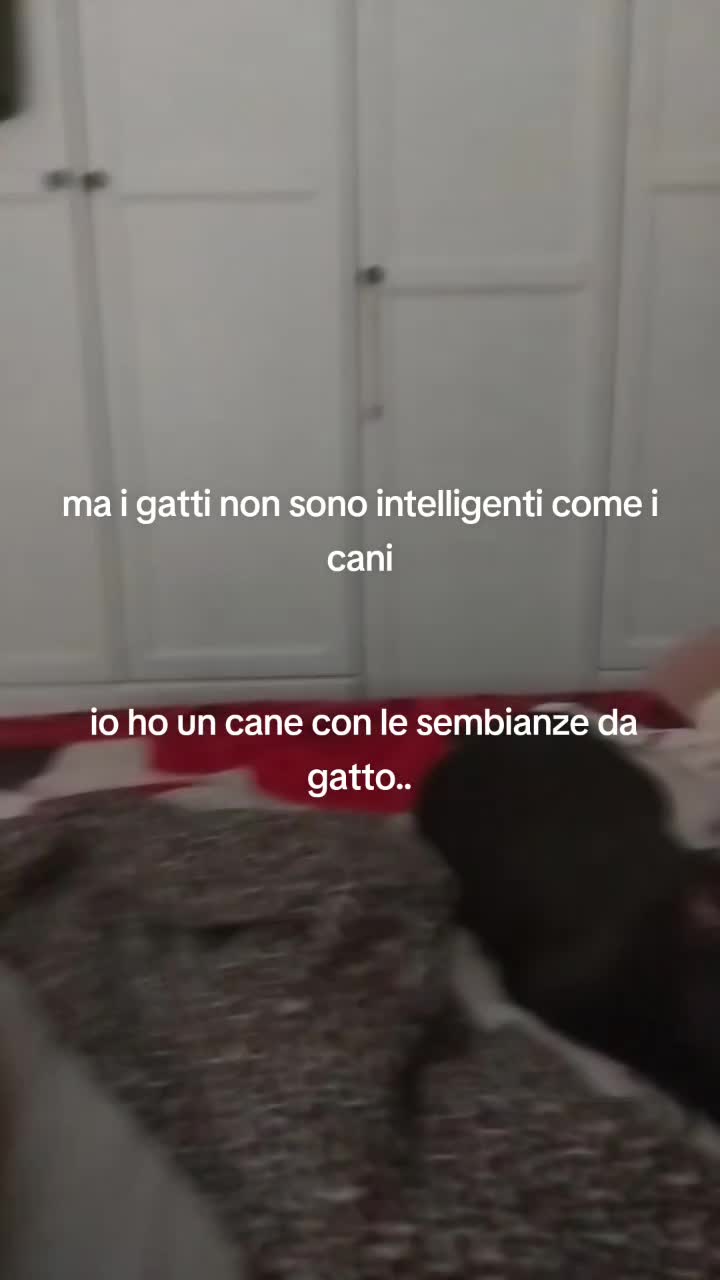 @Dora Ranalli