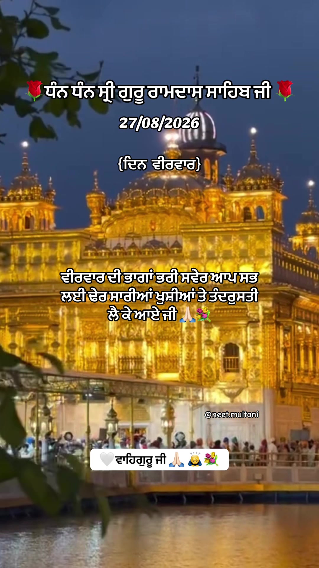 @neet.multani