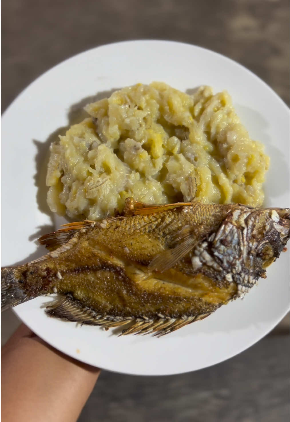 @SyLein👩🏻🍳🇫🇲
