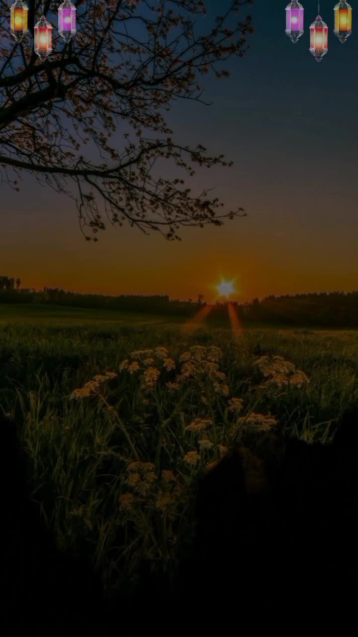 @nadeem_writes656