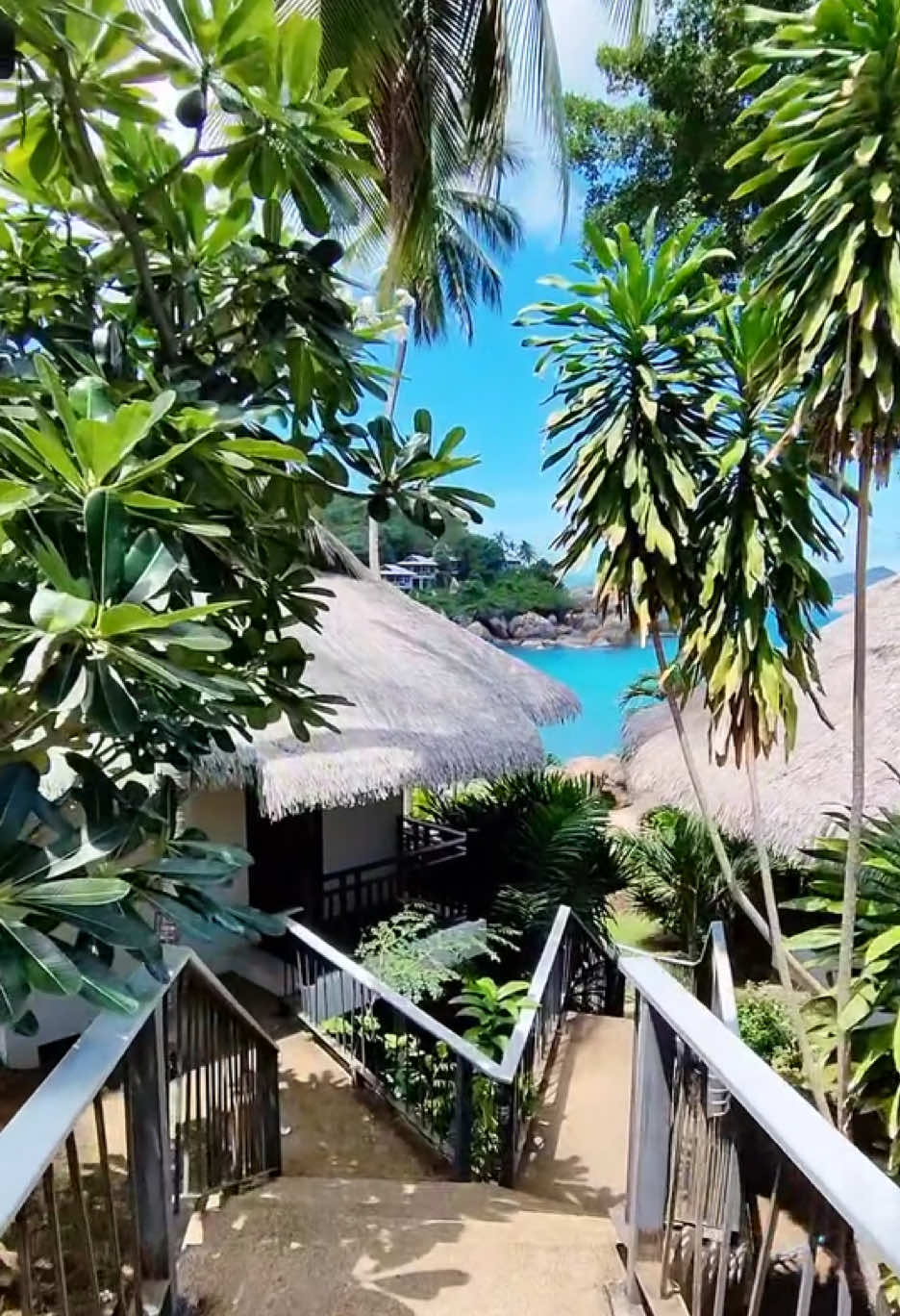 @🏝️ Magical Island Samui 🌴🍹