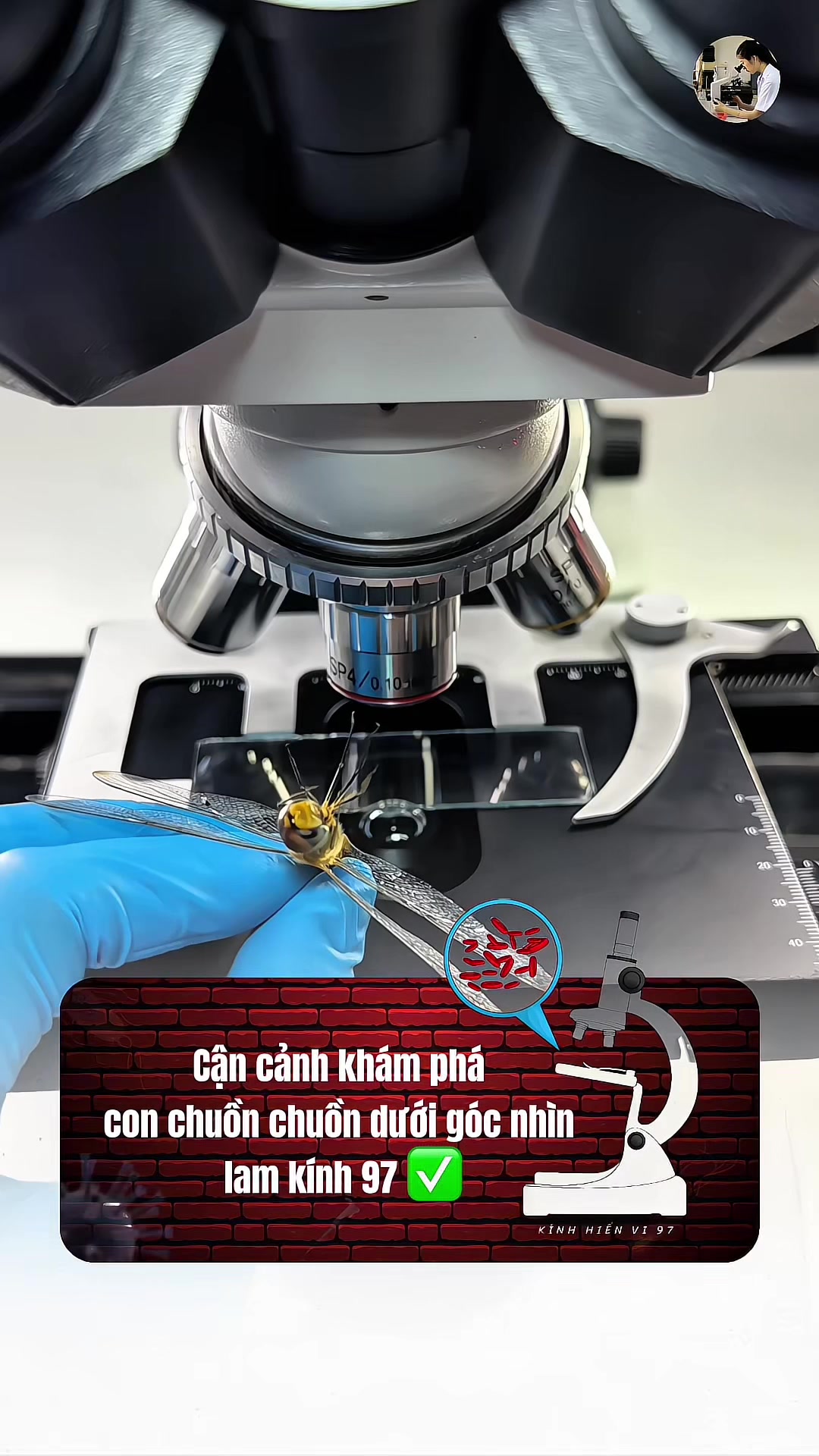 @Kính hiển vi 97